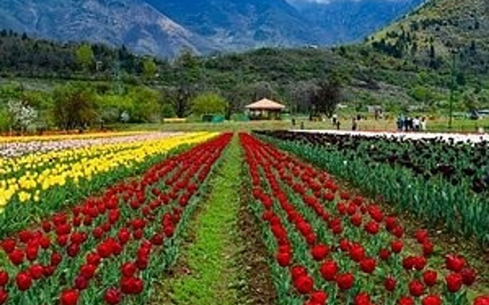 11 Days Great Lake Trek of Kashmir